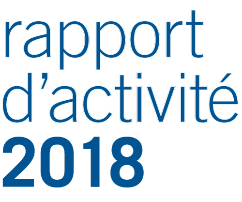 rapportactivite2018-ifsttar-fr logo